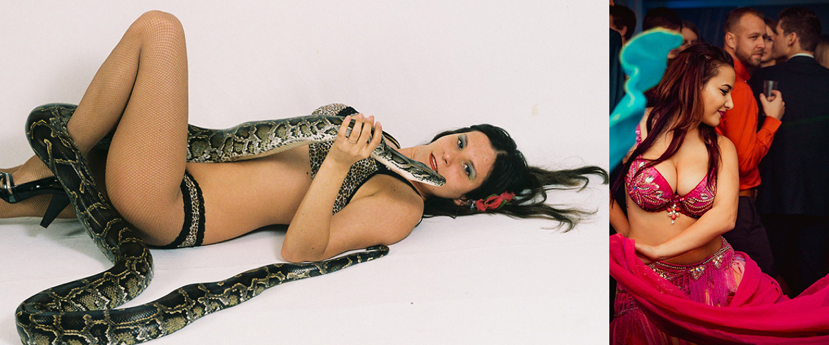 Fotoshoot met 1 of meerdere slangen